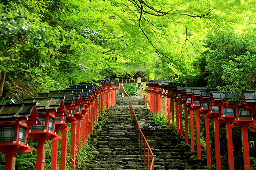 kinki_01_kifune