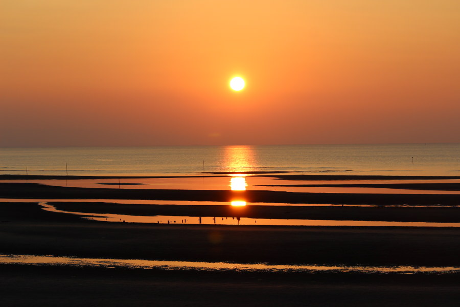 恋叶ロード（大分県）