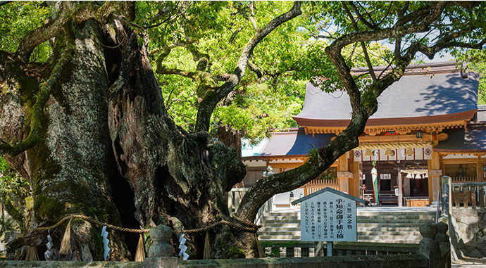 大山祇神社（愛媛県）
