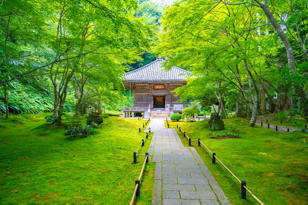 touhoku_11_en